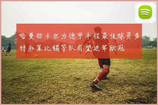 哈曼称卡尔为德甲半程最佳球员多特和莱比锡等队有望进军欧冠